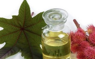 How to Apply Castor Oil to Grow Thick, Luscious, Enviable Hair!